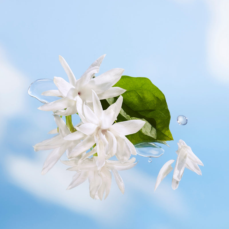 Escada Summer Festival Eau De Toilette 30 ml